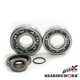 BEARING WORX ŁOŻYSKA WAŁU KORBOWEGO Z USZCZELANIACZAMI GAS GAS EC 200/250/300 '10- (NTN) (MADE IN JAPAN)