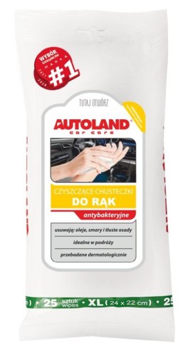 AUTOLAND CHUSTECZKI DO RĄK / HD / ANTYBAKTERYJNE (25 SZT) (12)